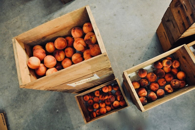 Food Storage